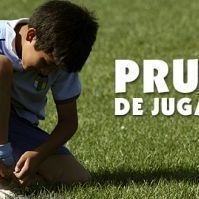 Ven a probarte al Capo