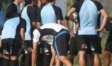 Observando al Capo Observando al Capo